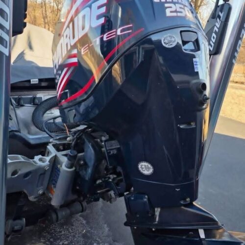 2008 Evinrude 250 H.O. E-TEC Outboard